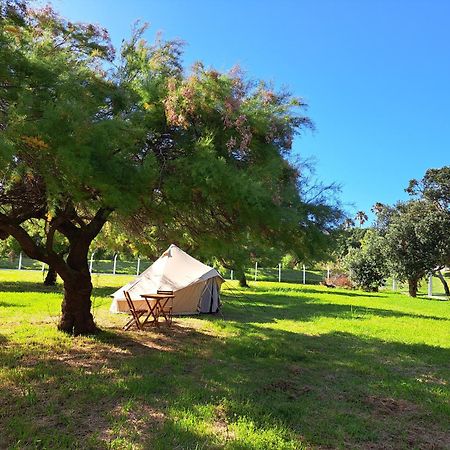הורטה Bearsu Nature Almoxarife מראה חיצוני תמונה