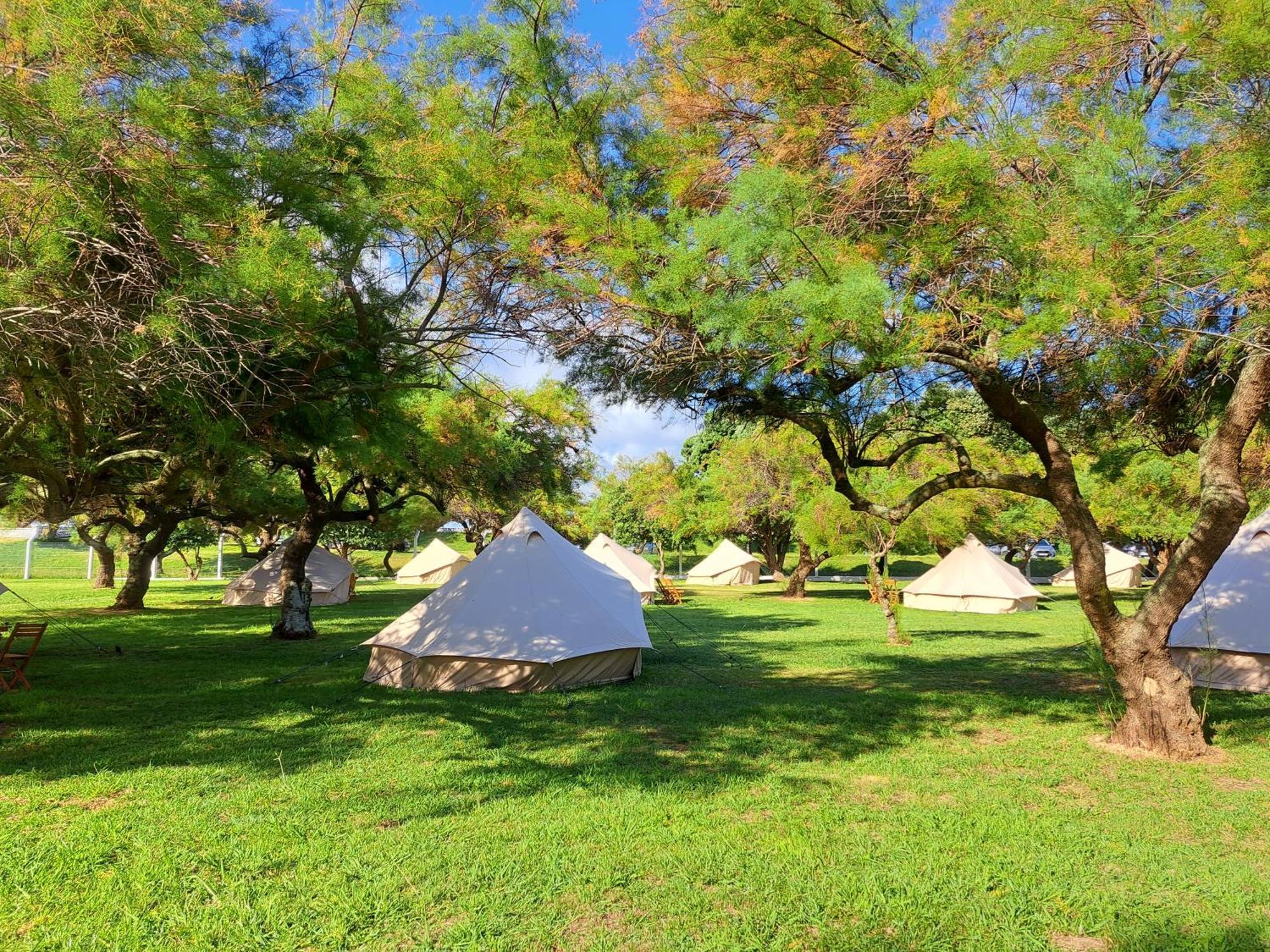 הורטה Bearsu Nature Almoxarife מראה חיצוני תמונה