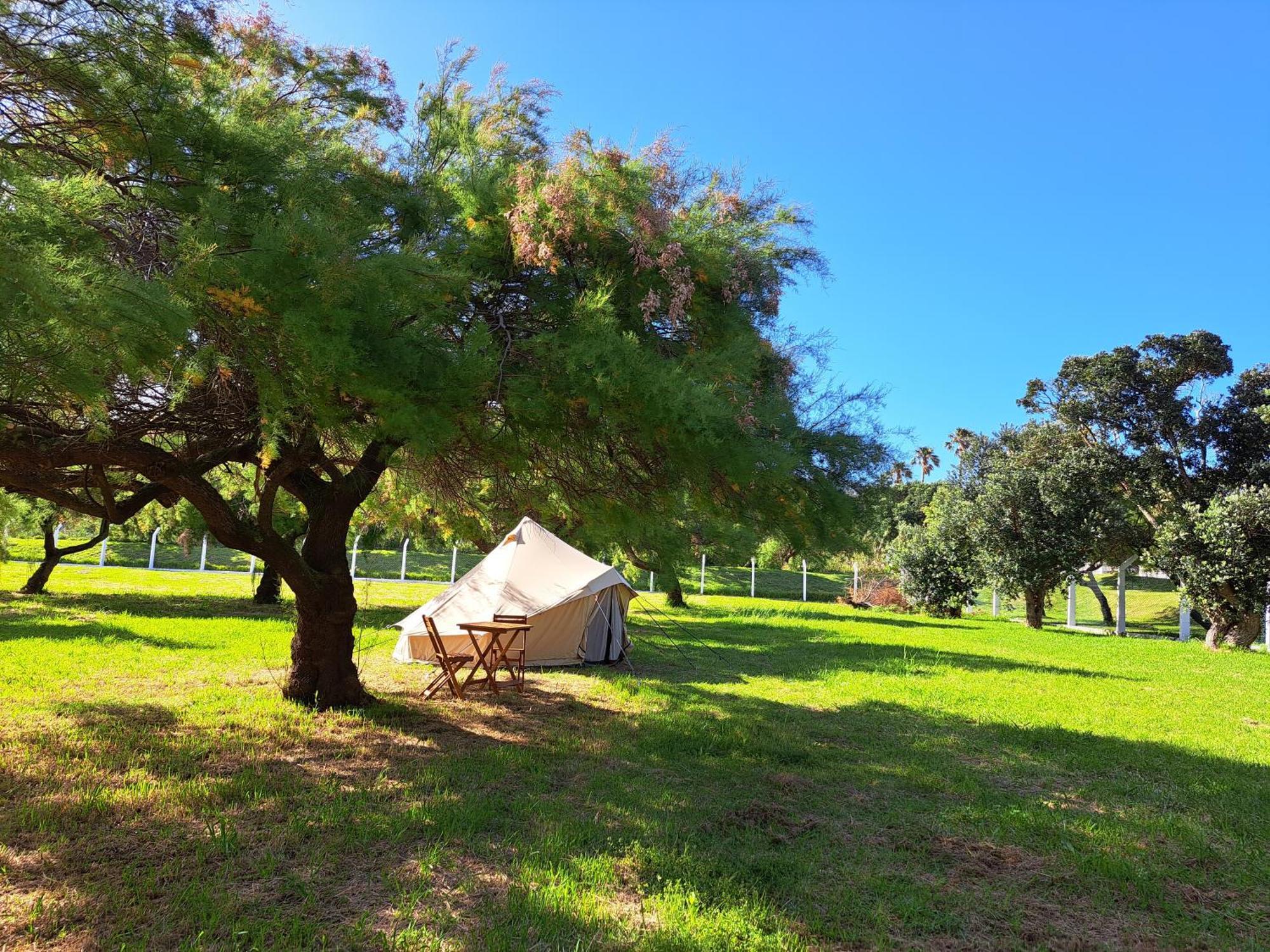 הורטה Bearsu Nature Almoxarife מראה חיצוני תמונה
